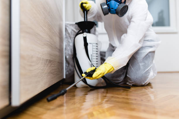 Best Residential Pest Control  in Nazareth College, NY