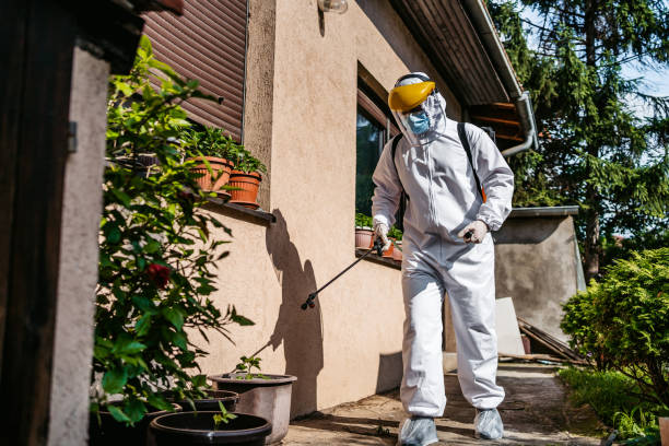 Best Exterminator Services  in Nazareth College, NY