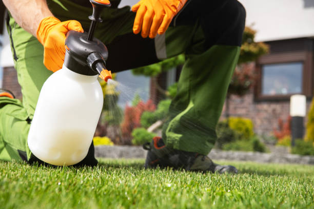 Best Termite Control Services  in Nazareth College, NY