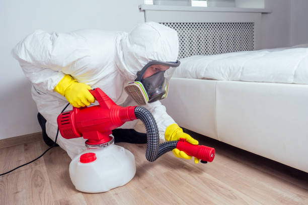 Best Affordable Pest Control Services  in Nazareth College, NY