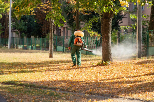 Best Affordable Pest Control Services  in Nazareth College, NY