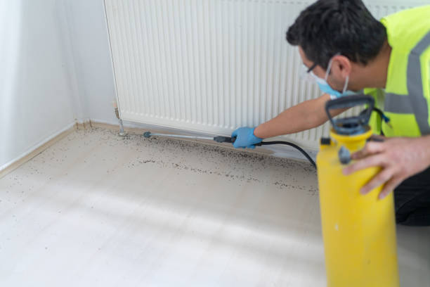 Pest Control for Restaurants in Nazareth College, NY